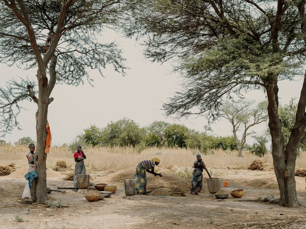 Region Maradi in Niger. Foto: Ollivier Girard