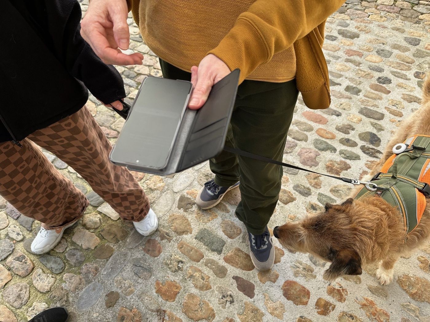 SmarTrail mit Hund_web_Foto zVg kathbl_refbl