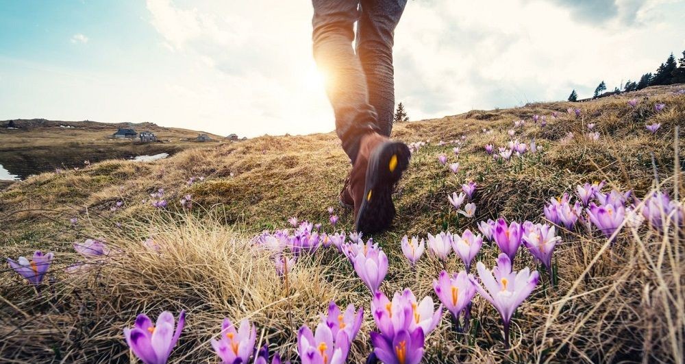 Pilgertag Maerz 2026