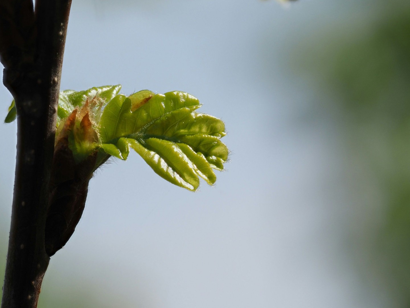 Foto Yuri Antonenko_unsplash_web