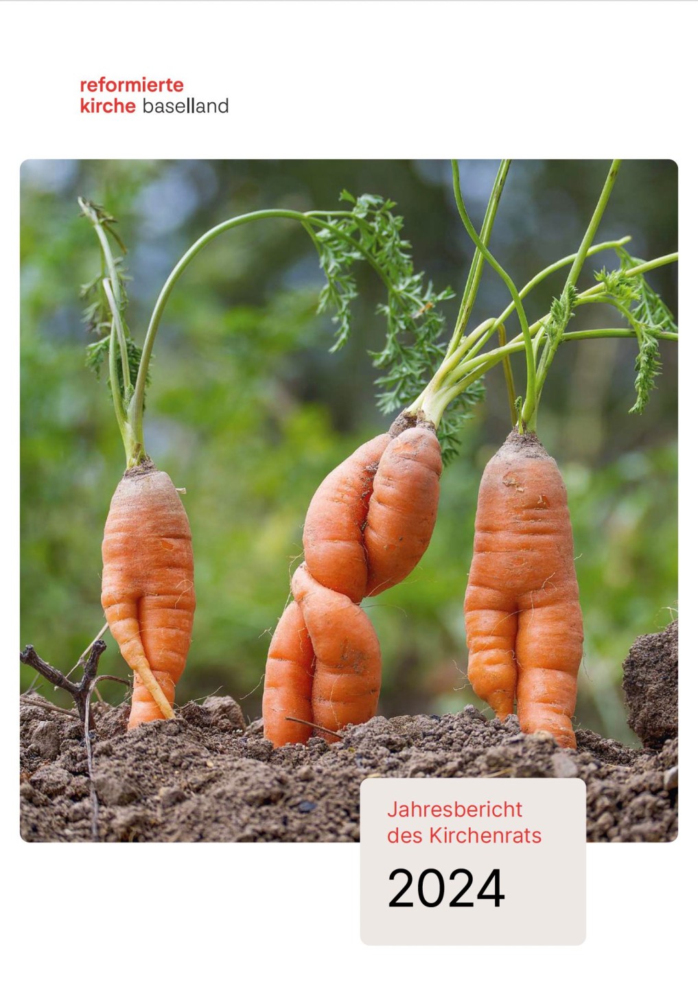 Jahresbericht 2024 Pic