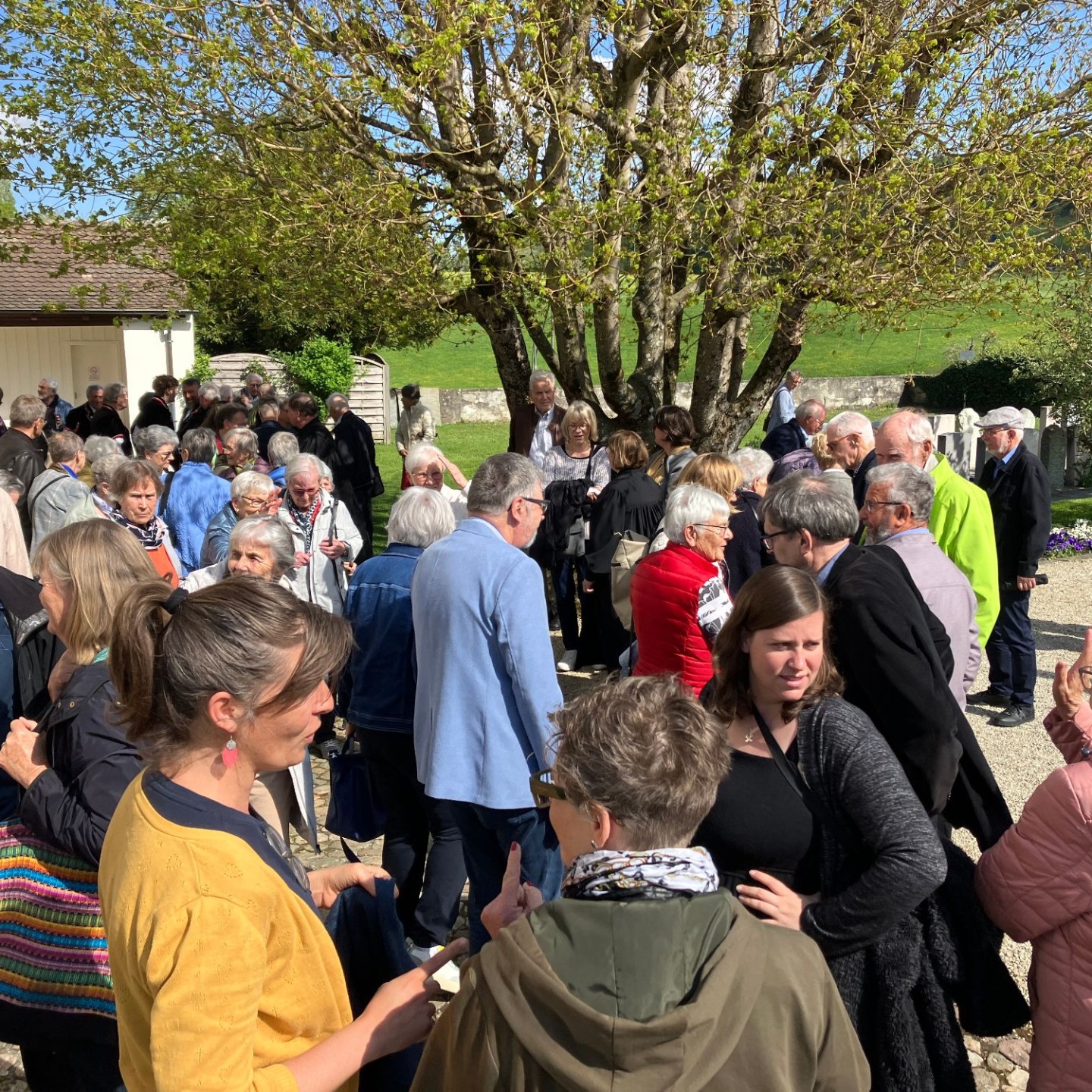 Amtseinsetzung Eich-Meier IMG_3734