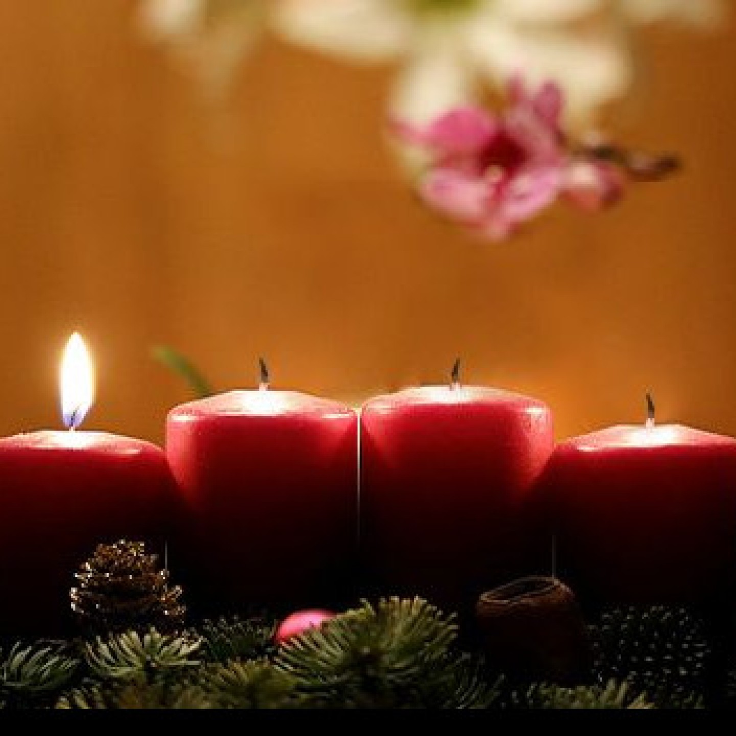 Kirchenfenster-1advent