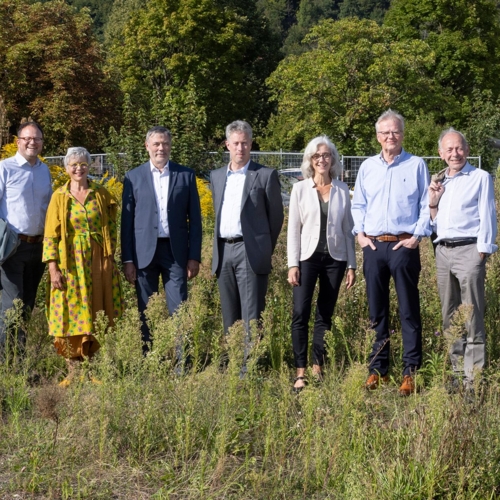 Kirchenrat im grünen Querformat
