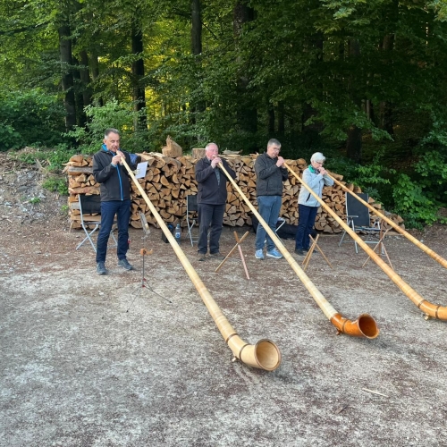 Alphorn-Quartett auf dem Weg nach Buus_by-Daniel-Hanselmann