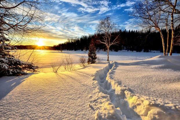 winter-landscape-636634